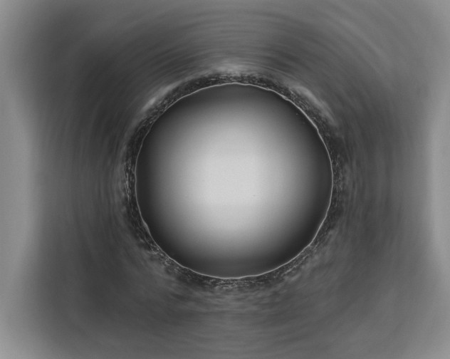 X0000112940776200908311448