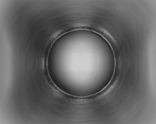 X0000112940777200908311448