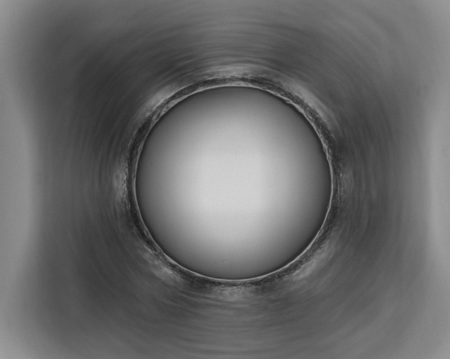 X0000112940778200908311448