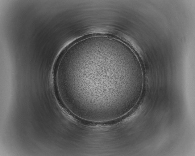 X0000112940779200908311448