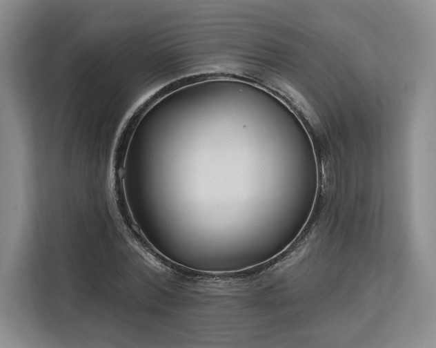 X0000112940780200908311448
