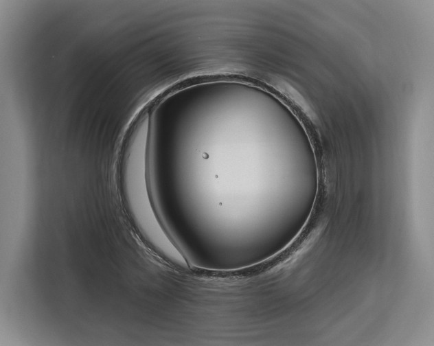 X0000112940781200908311448