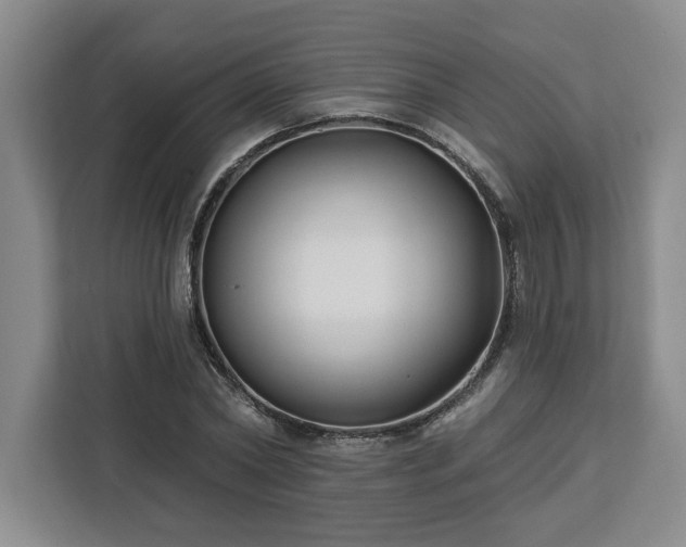 X0000112940782200908311448