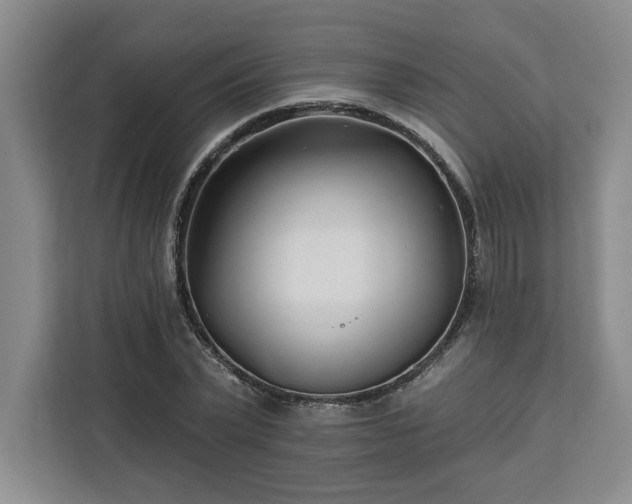 X0000112940783200908311448
