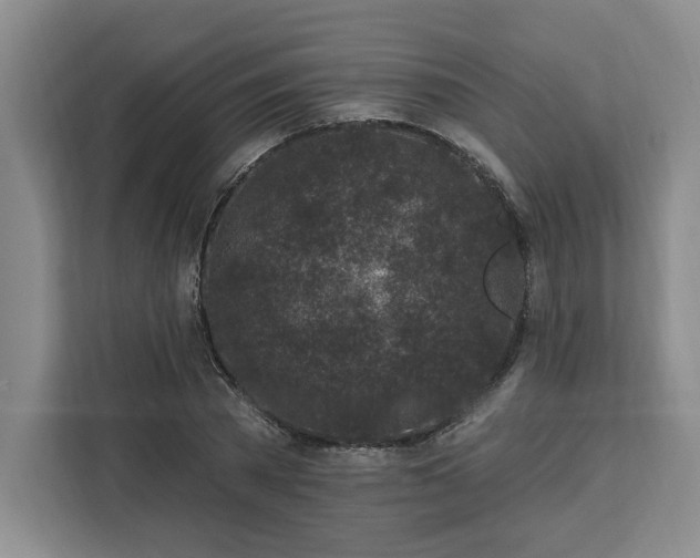 X0000112940785200908311448