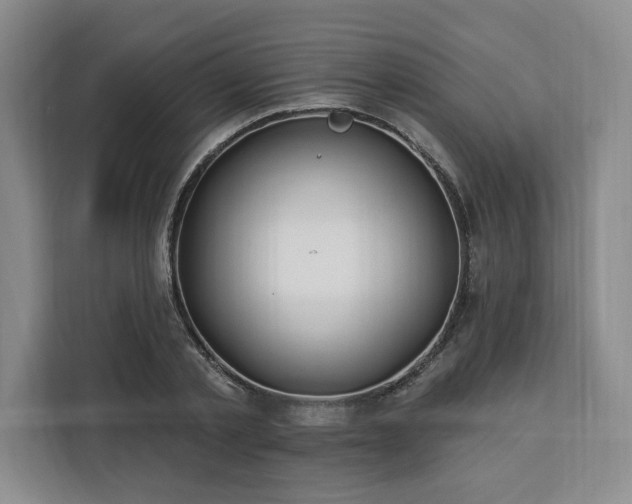 X0000112940789200908311448
