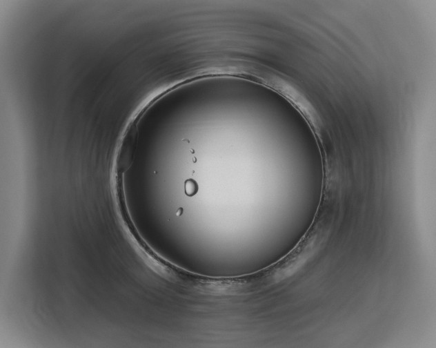 X0000112940803200908311448