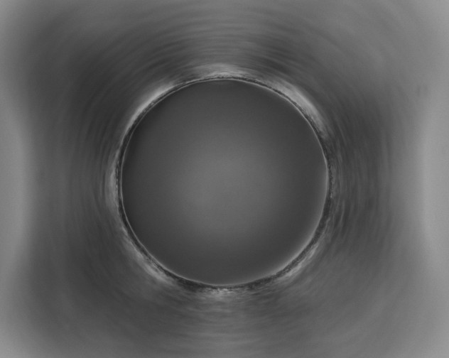 X0000112940806200908311448