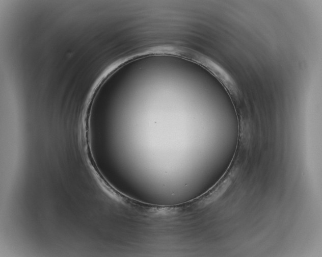 X0000112940808200908311448