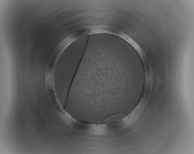 X0000112940809200908311448