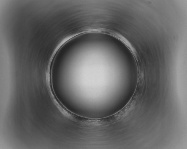 X0000112940811200908311448