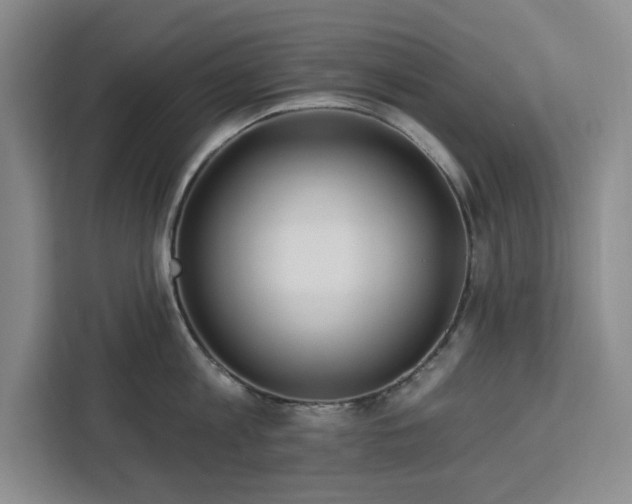 X0000112940813200908311448