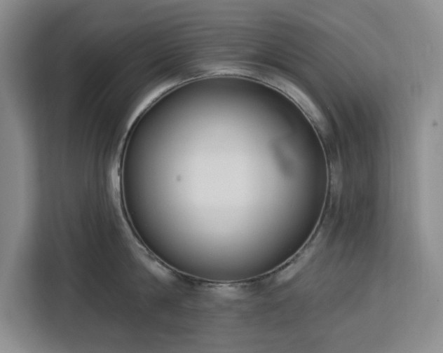 X0000112940814200908311448