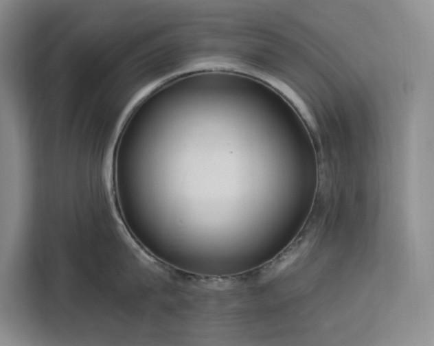 X0000112940815200908311448