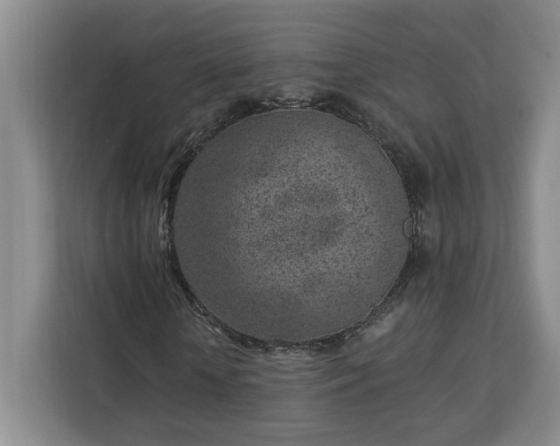 X0000112940818200908311447