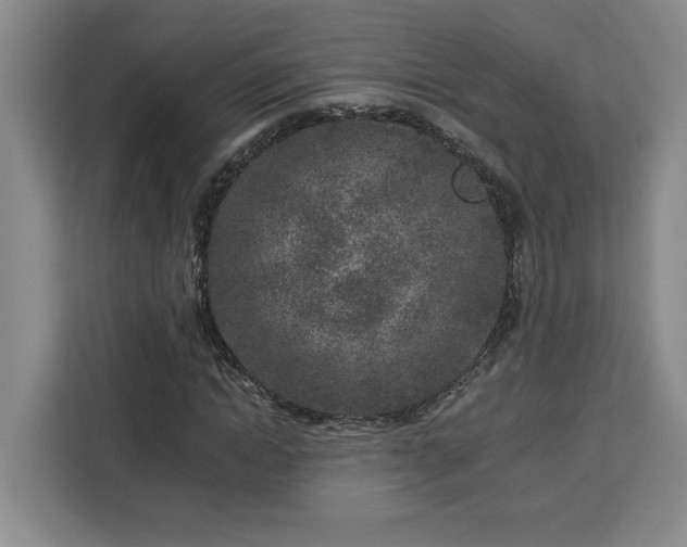 X0000112940822200908311447