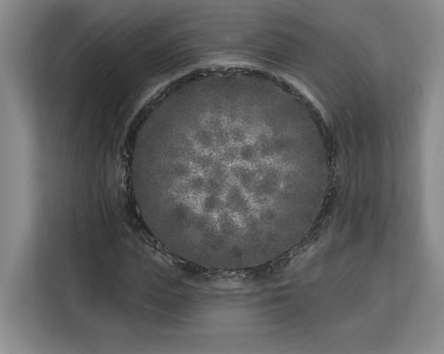 X0000112940823200908311447