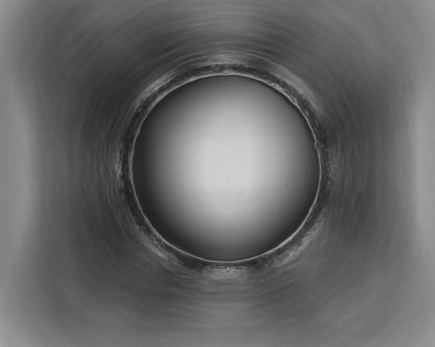 X0000112940826200908311447