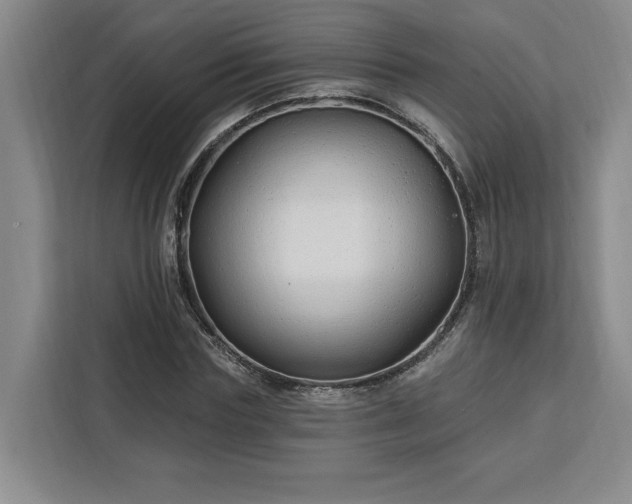 X0000112940827200908311447