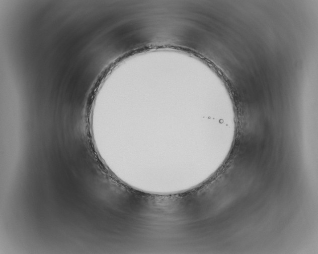 X0000112940832200908311447