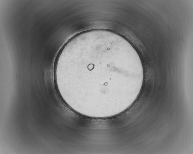 X0000112940836200908311447