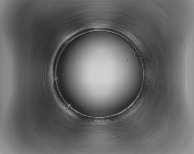 X0000112940840200908311447