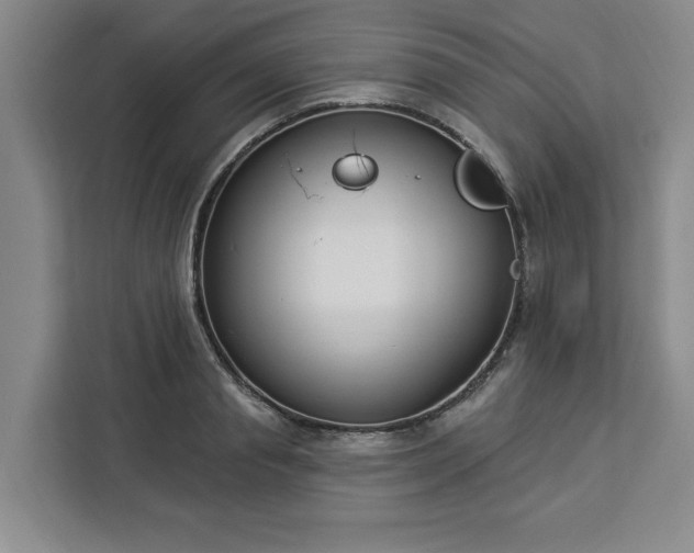 X0000112940845200908311447