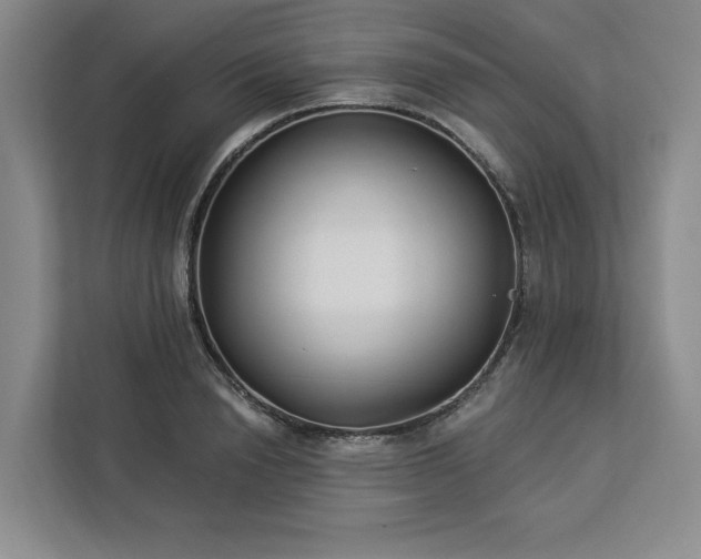 X0000112940846200908311447