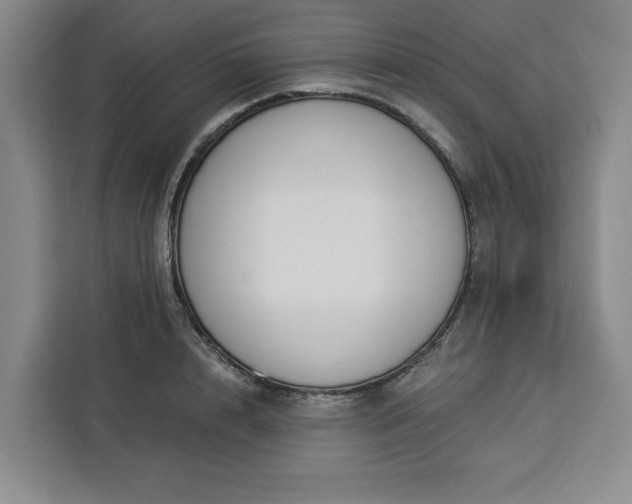 X0000112940848200908311447