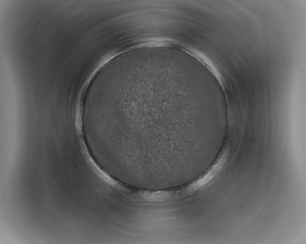 X0000112940851200908311447