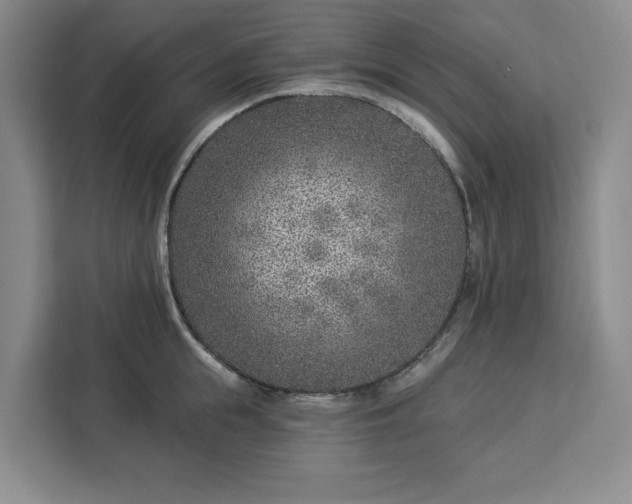 X0000112940855200908311448