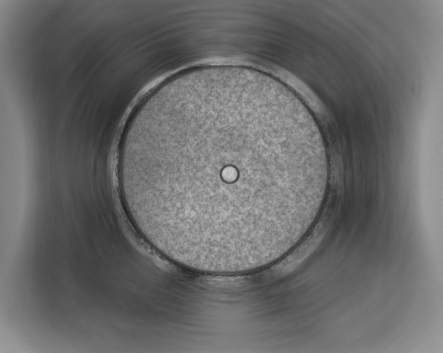 X0000112940856200908311448