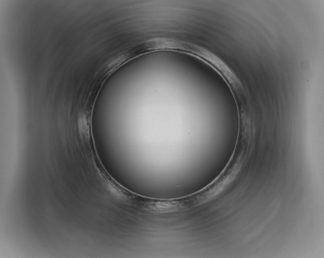X0000112940857200908311448