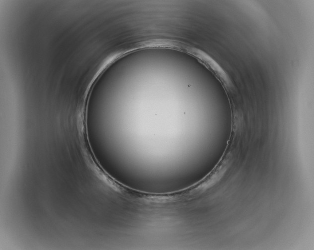 X0000112940860200908311448