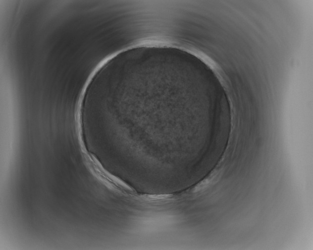 X0000112940864200908311448