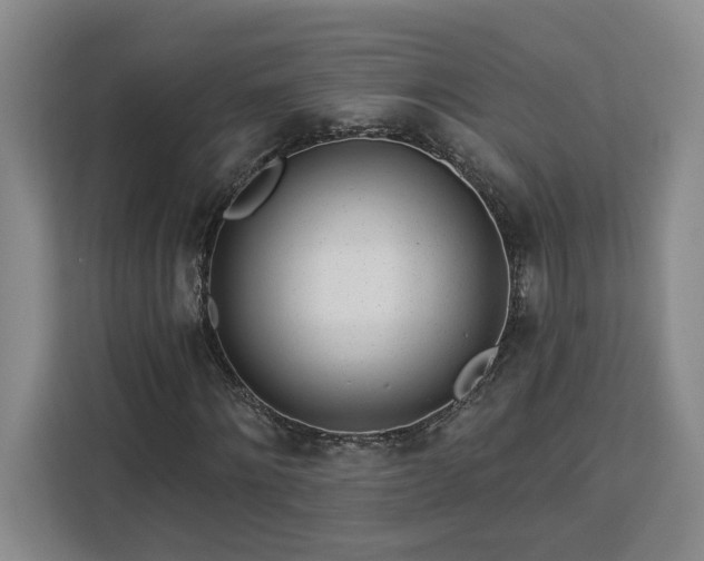 X0000112940868200908311447