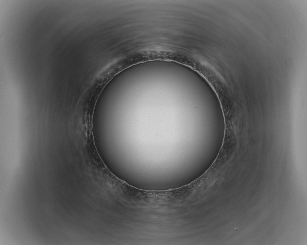 X0000112940870200908311447