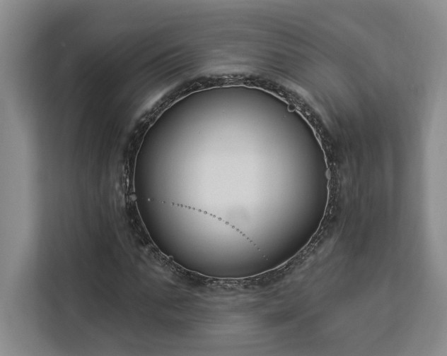 X0000112940871200908311447