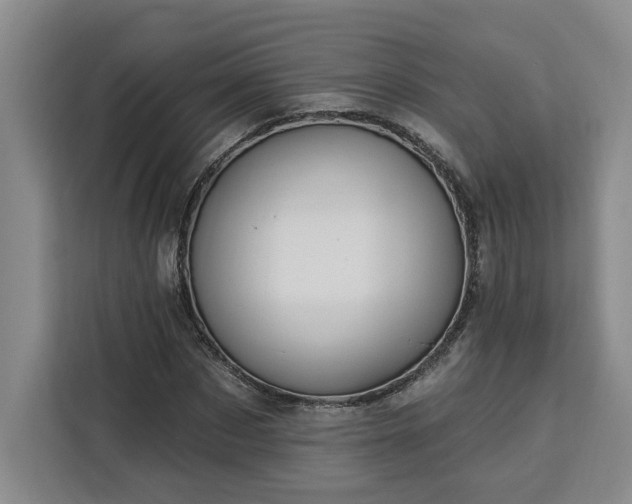 X0000112940873200908311447