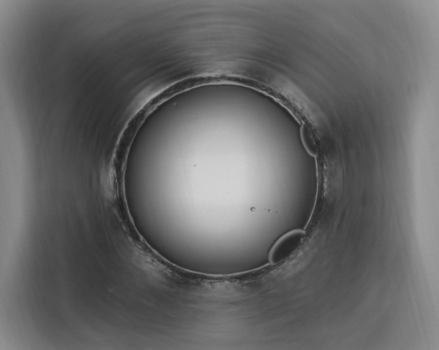 X0000112940876200908311447