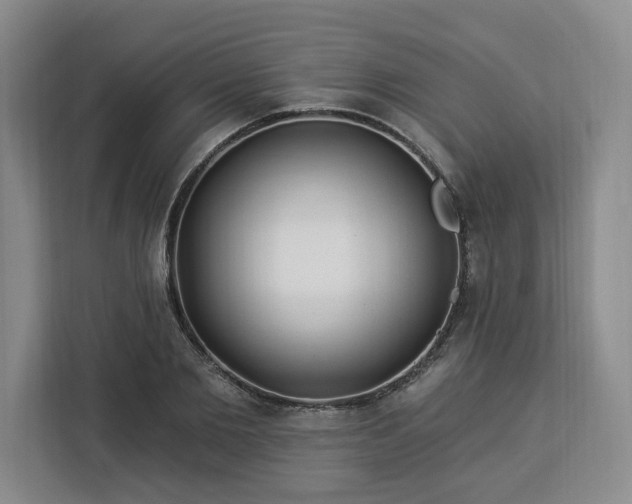 X0000112940885200908311447