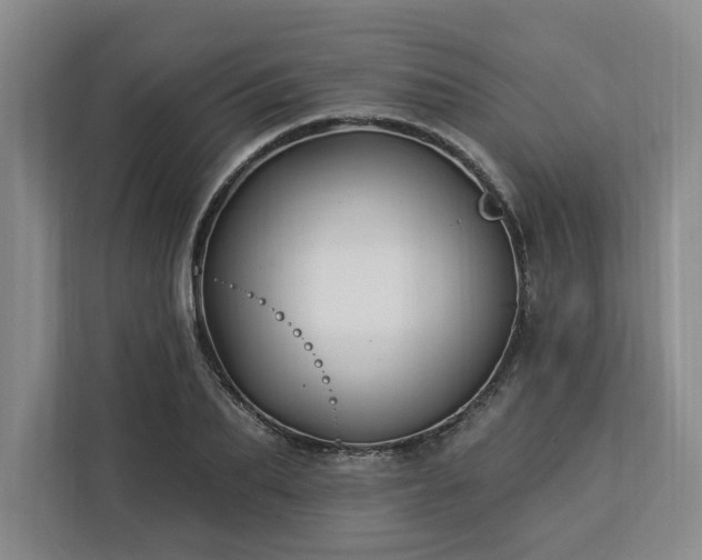 X0000112940887200908311447