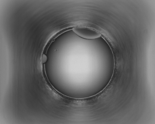 X0000112940888200908311447