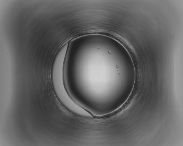 X0000112940889200908311447