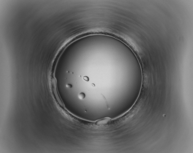 X0000112940895200908311447