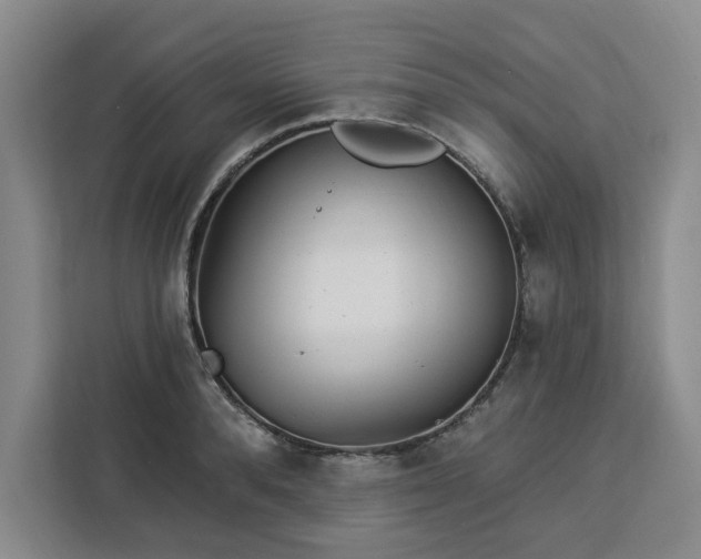 X0000112940896200908311447