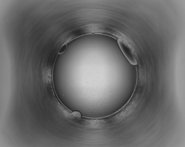 X0000112940897200908311447