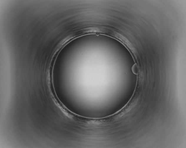 X0000112940898200908311447