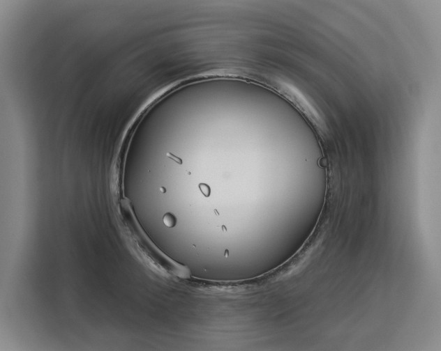 X0000112940900200908311447