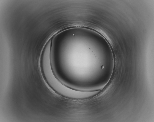 X0000112940901200908311447